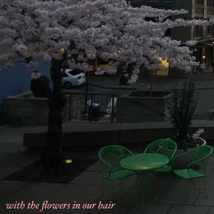 with the flowers in our hair