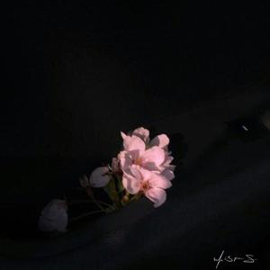 whispers of the heart