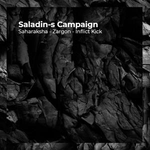 Saladin-s Campaign