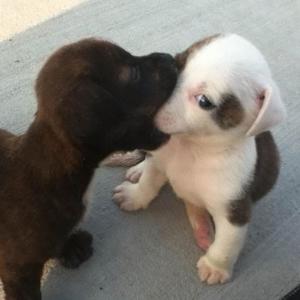 SixOverSixOverSix (feat. Vencí) (Explicit)