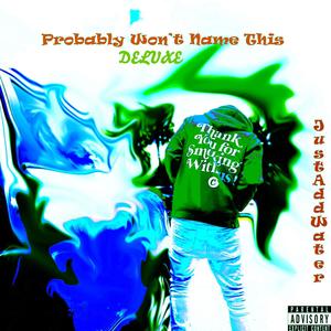 Probably Won't Name This (Deluxe) [Explicit]