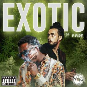 Exotic (feat. P.Fire) [Explicit]