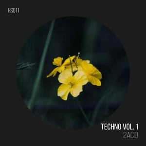 Techno Vol. 1