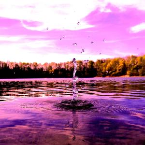 Light in the Night(feat. CFred9)