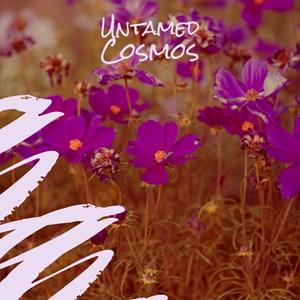 Untamed Cosmos