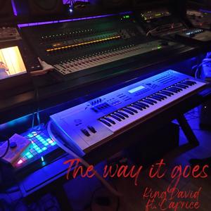 The way it goes (feat.  Caprice) (Explicit)