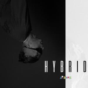 HYBRID (Explicit)