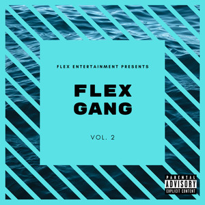 Flex Gang, Vol. 2 (Explicit)