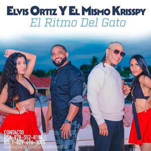 El ritmo del gato(feat. Krisspy)