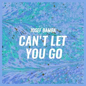 Can\'t Let You Go