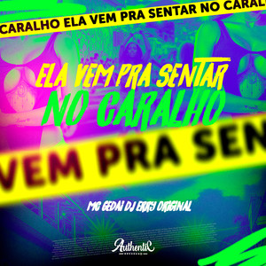 Ela Vem pra Sentar no Caralho (Explicit)