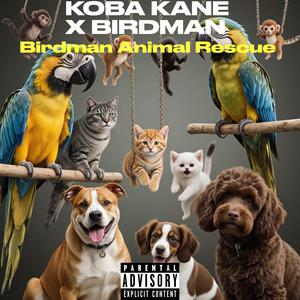 Birdman (Animal Rescue) (feat. BIRDMAN) (Explicit)