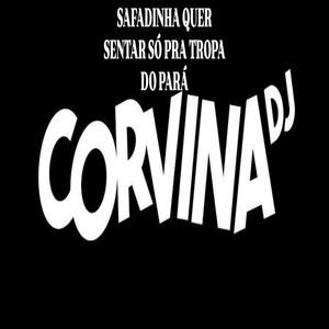 SAFADINHA QUER SENTAR SÓ PRA TROPA DO PARÁ (Explicit)