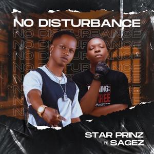 No Disturbance (feat. Sagez)