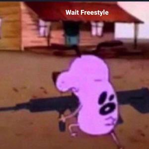 Wait Freestyle (Explicit)