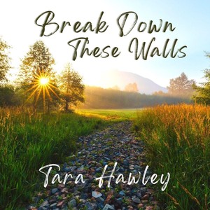 Break Down These Walls