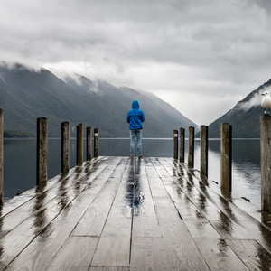 Armonía De Primavera