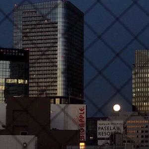 [FREE]2020 boombap beat (prod by youngvy) (prod by youngvy)