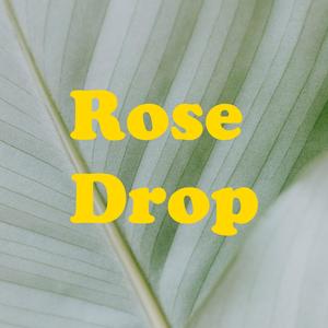 Rose Drop