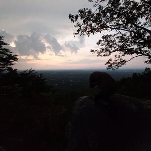 Easier Said Than Done