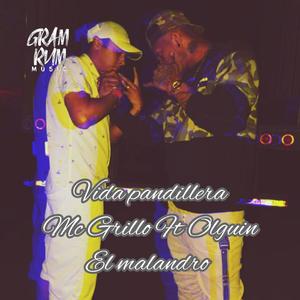 Vida Pandillera (feat. Olguin el Malandro) [Explicit]