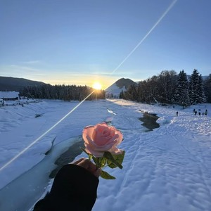 梦为努力浇了水