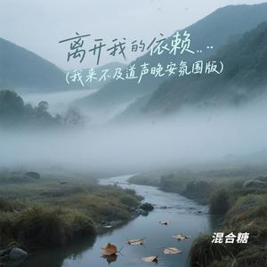 离开我的依赖-混合糖