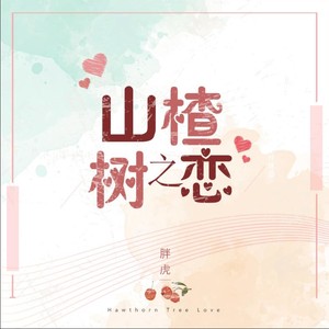 山楂树之恋 (正式版)