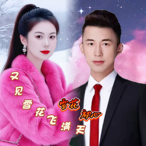 又见雪花飞满天