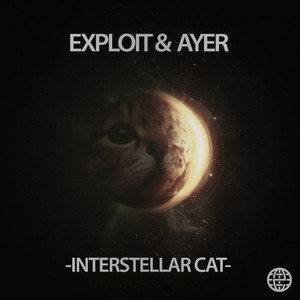 Intestellar Cat
