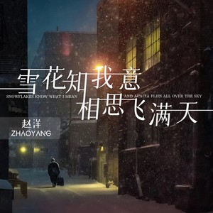 赵洋《雪花知我意相思飞满天》[MP3_LRC]_MP3免费下载
