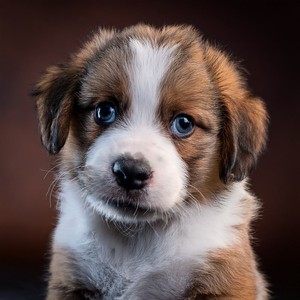 Estiramiento Matutino En El Pasillo