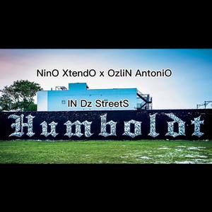 IN Dz StreetS (feat. OzliN AntoniO) (Explicit)