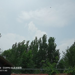 牵丝戏 (普通版)