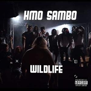 Wild Life (Explicit)