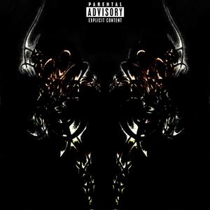 Look fun (Bonus) (Explicit)