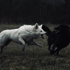 Pillz & Potion (original audio) (feat. Ka’Vell) (Explicit)