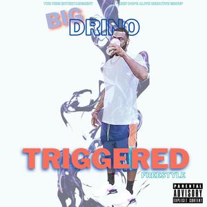 Triggered Freestyle (Big Drino Version)