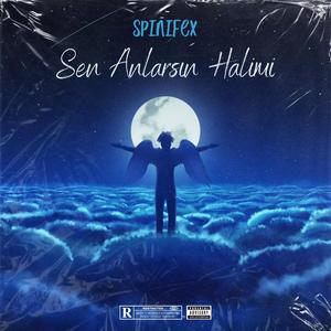 Sen Anlarsın Halimi (Explicit)