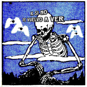 X Si No Te Vuelvo a Ver