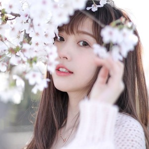醉花影