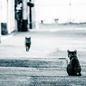 贺仕杰 - 开心版钢琴曲