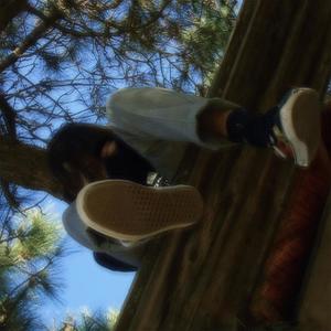 T55 (Explicit)