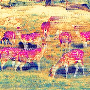 Spotted Deer (feat. Dusk Function, Super Jack & Michael Auble)