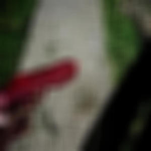 crippile (feat. blemeego!)