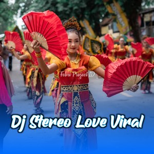 Dj Stereo Love Viral