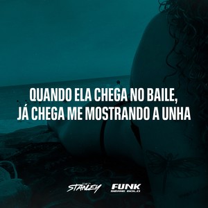 DJ Stanley - Quando Ela Chega no Baile, Já Chega Me Mostrando a Unha (Explicit)