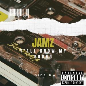 Waste No Time (feat. SlowB, LAIDO N DA FAMILIES, Pico Jay-p & Mister Locc) (JAMZ Remix|Explicit)