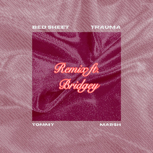 Bed Sheet Trauma (Remix|Explicit)