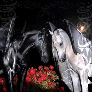 MADE IN JAPAN (Explicit)